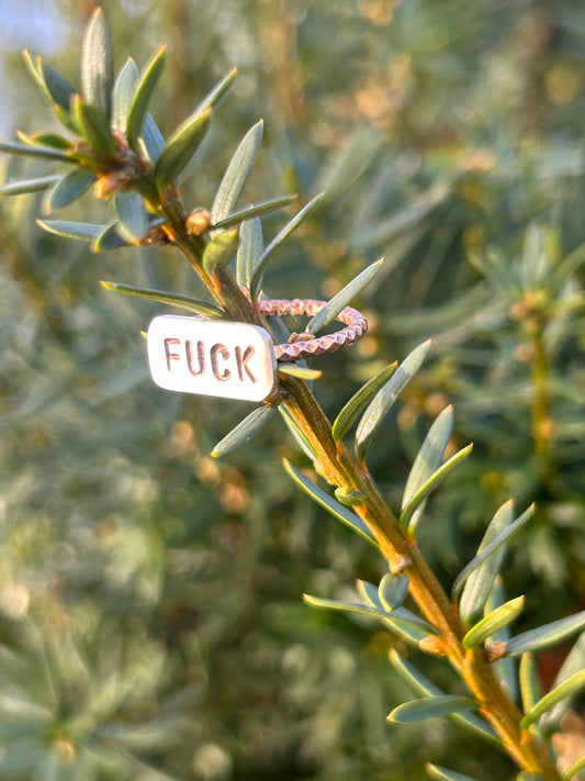 F*ck Ring