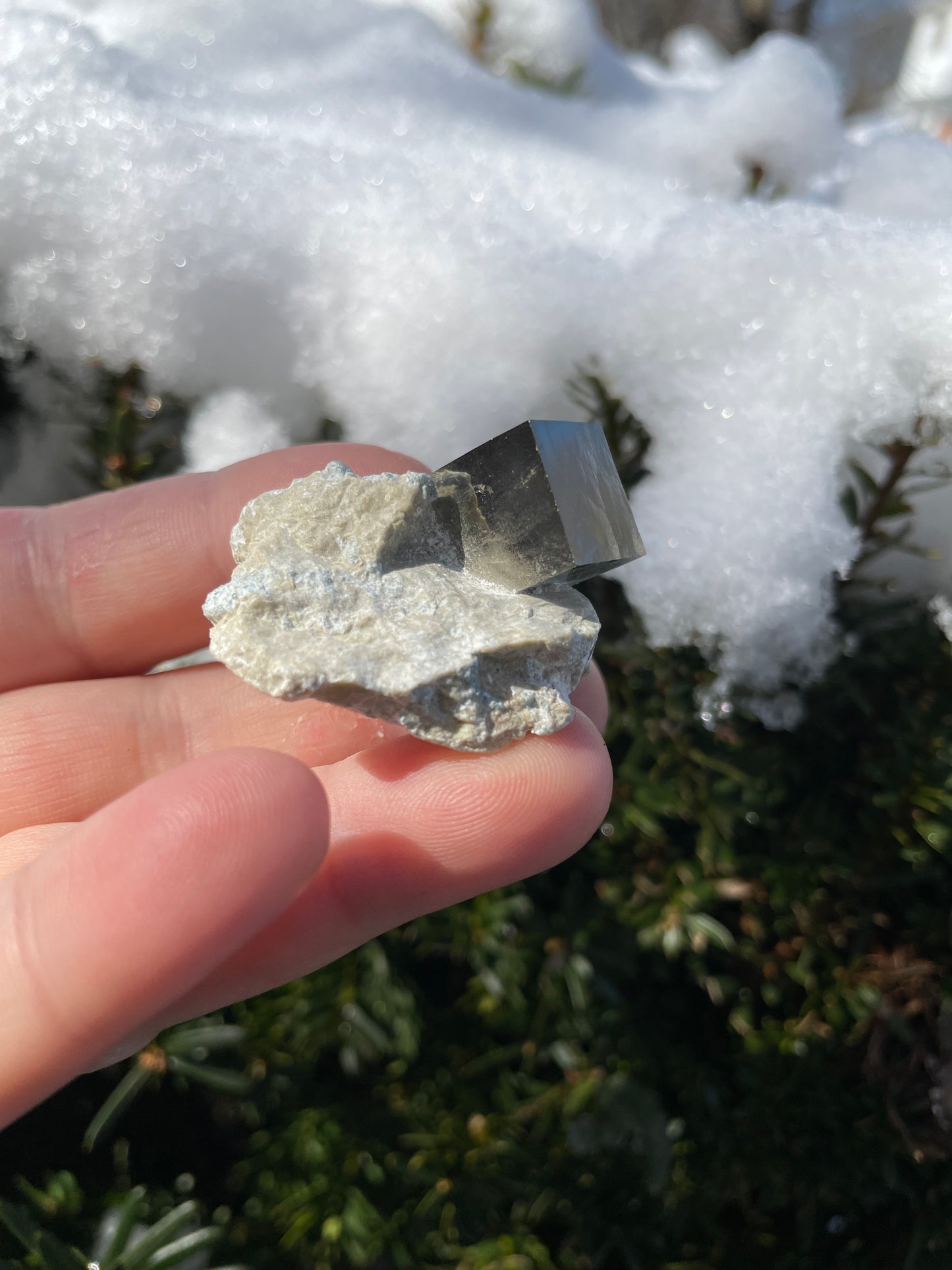 Pyrite cube on matrix