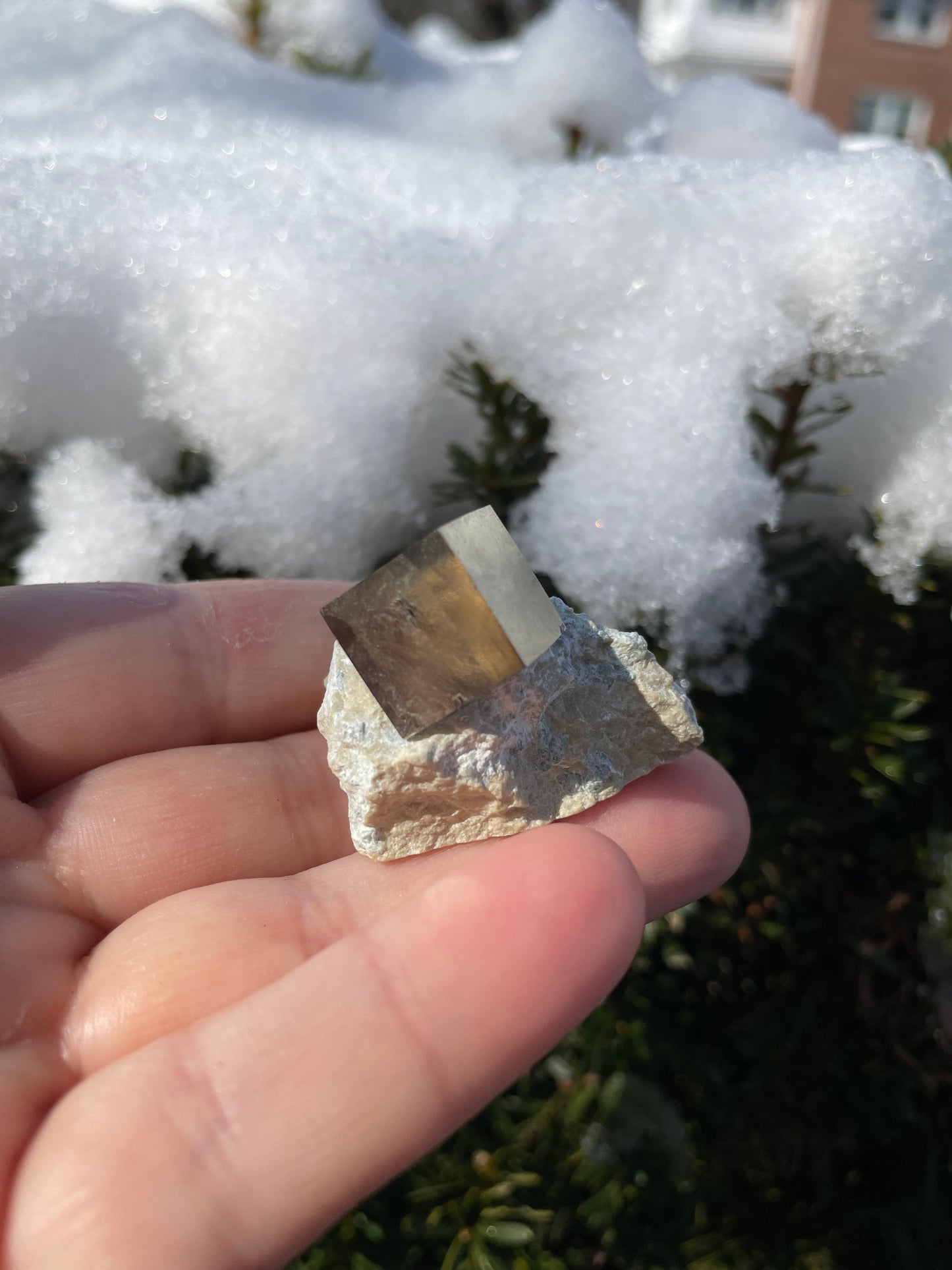 Pyrite cube on matrix