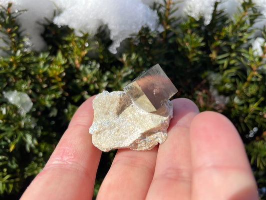 Pyrite cube on matrix