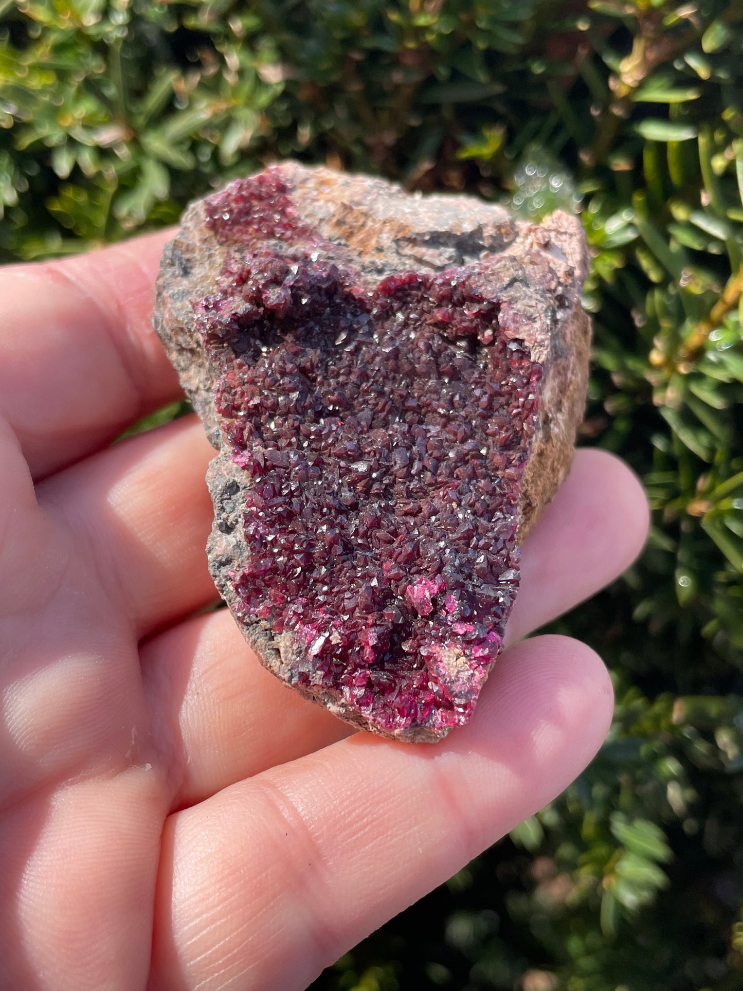 Erythrite Druzy
