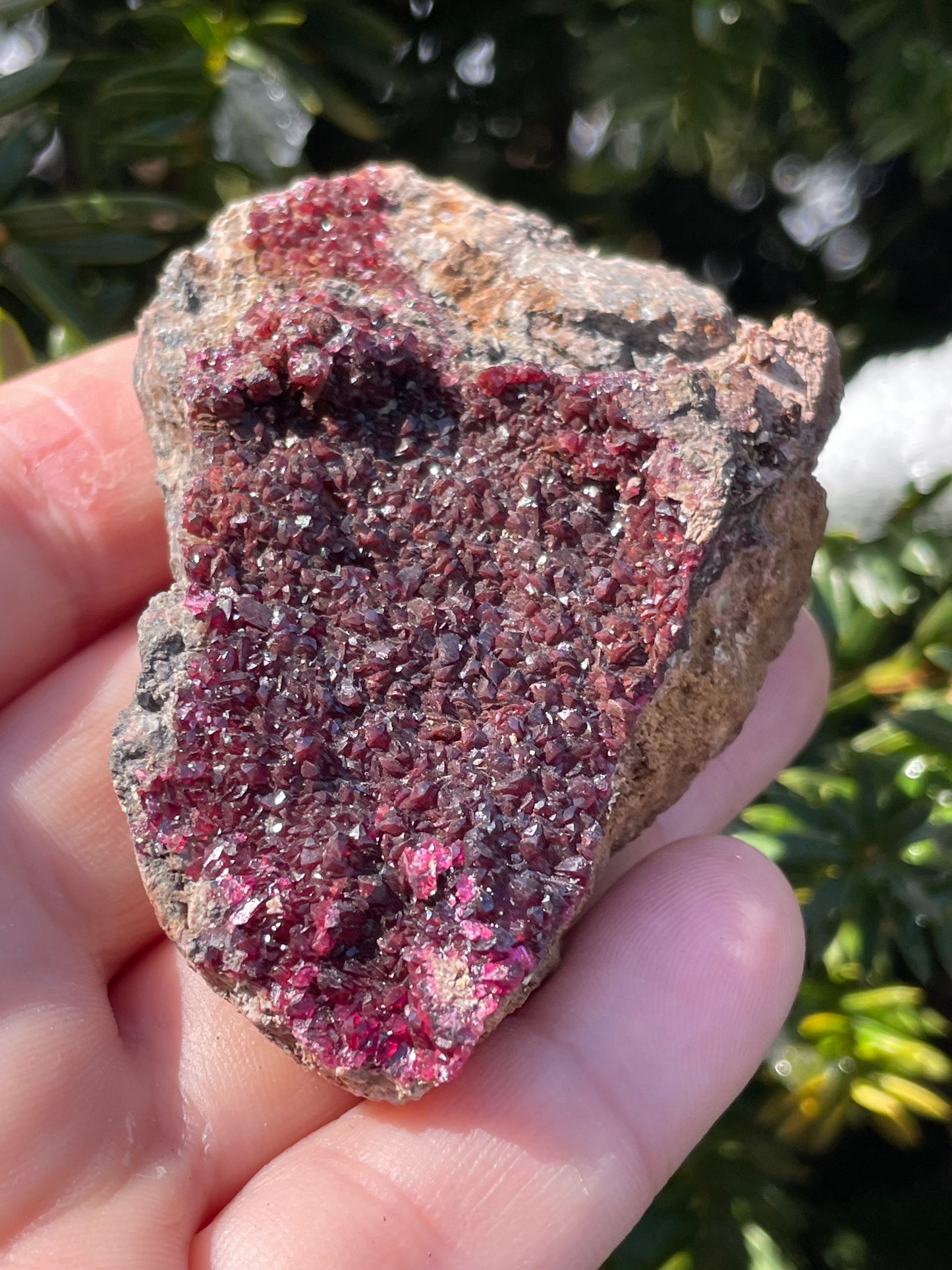 Erythrite Druzy