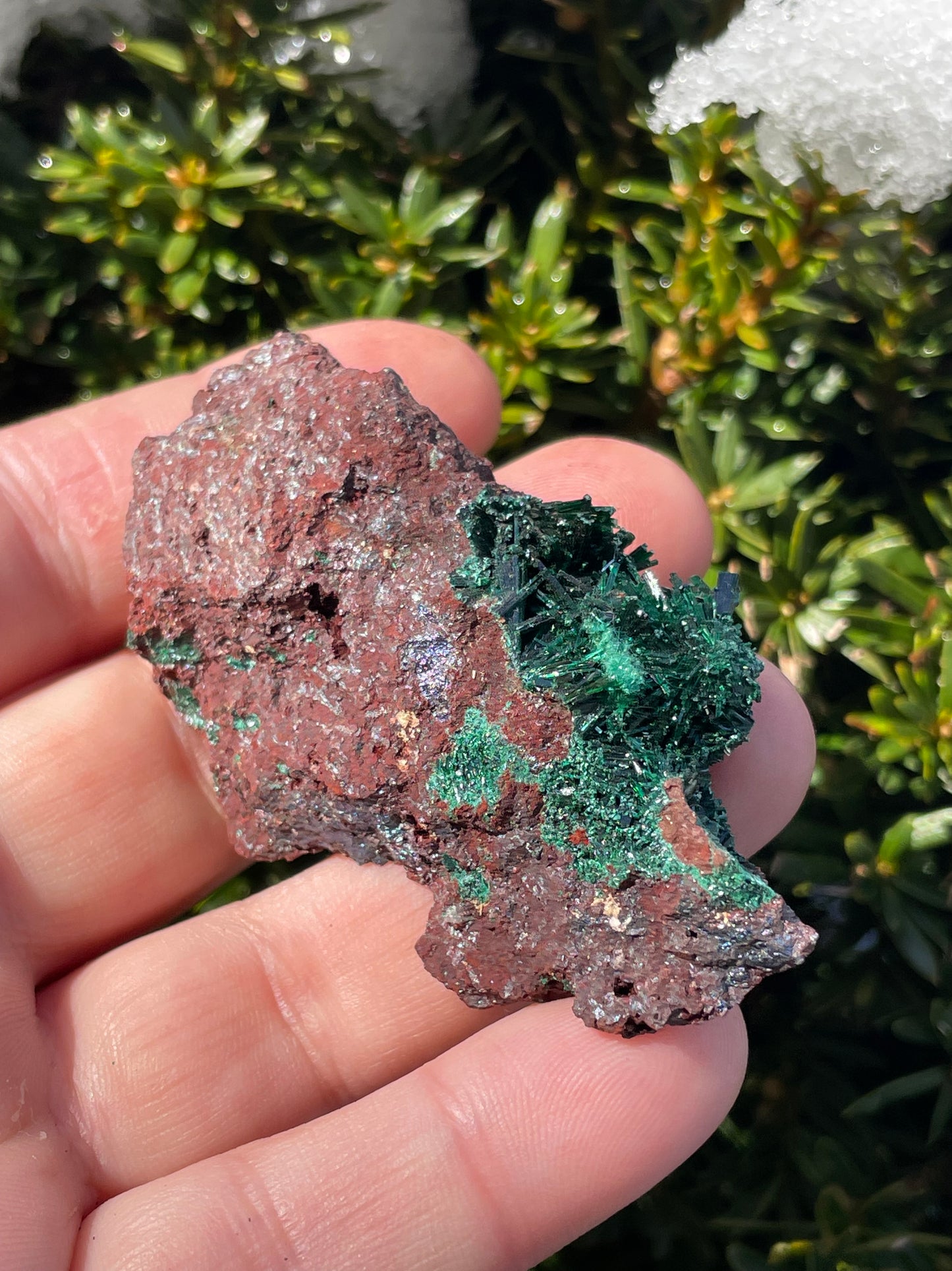 Brochantite Specimen