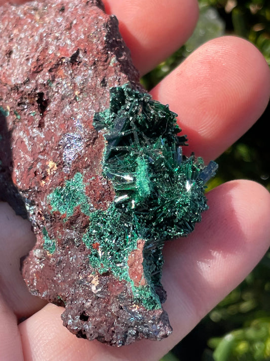 Brochantite Specimen