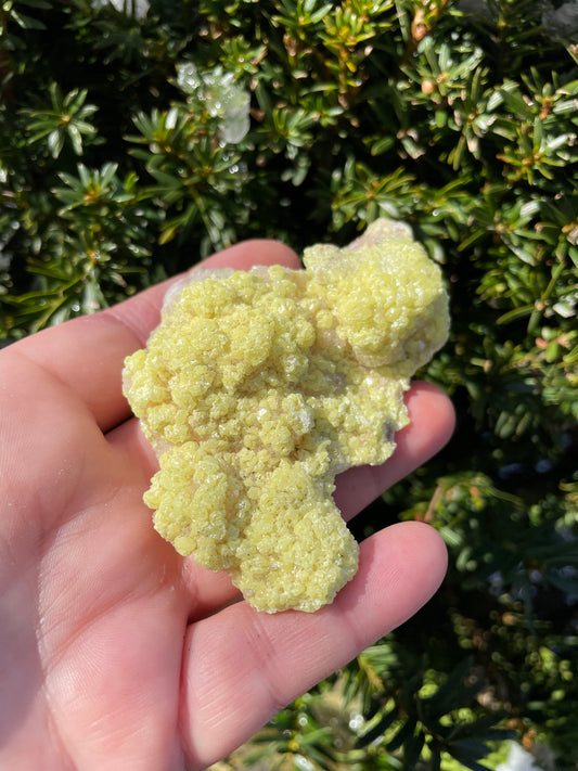 Sulfur Crystals