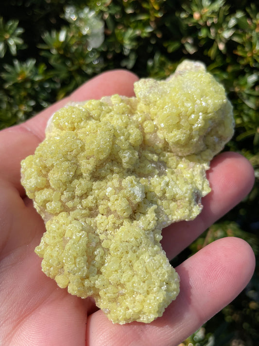 Sulfur Crystals