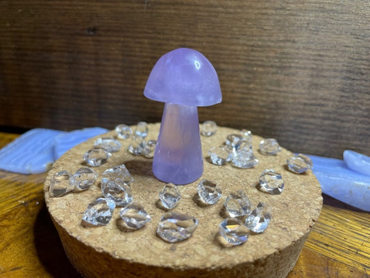Fluorite Mushrooms