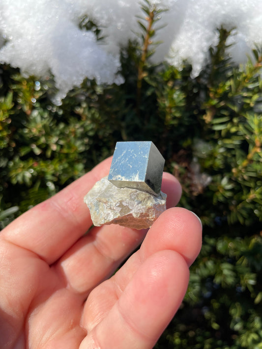 Pyrite cube on matrix